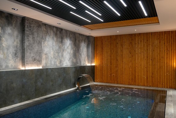 Optez pour le bon traitement contre les punaises de lit !